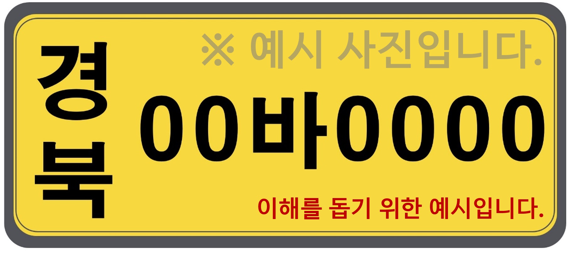 예시 차량번호